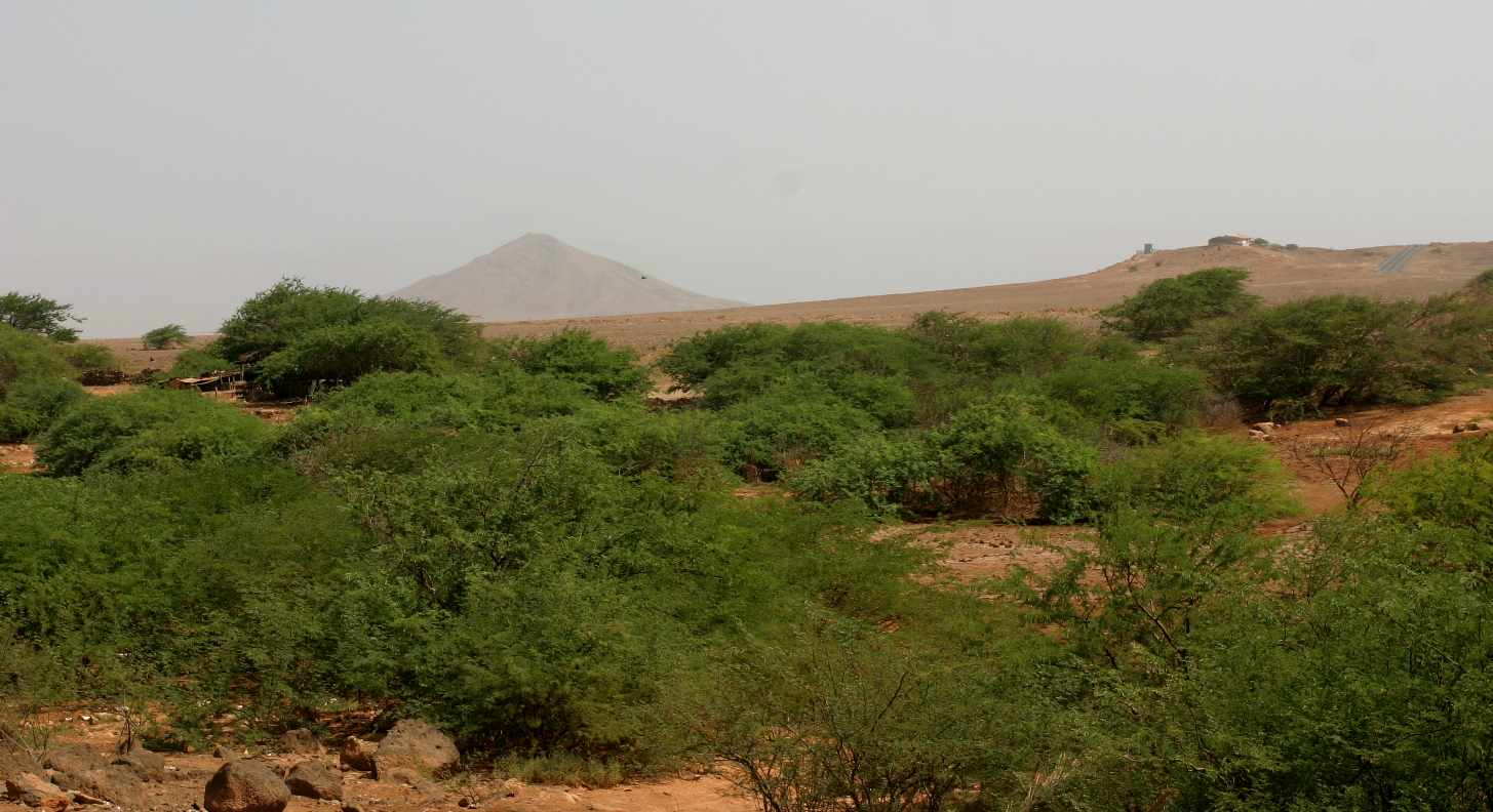 landschap Sal