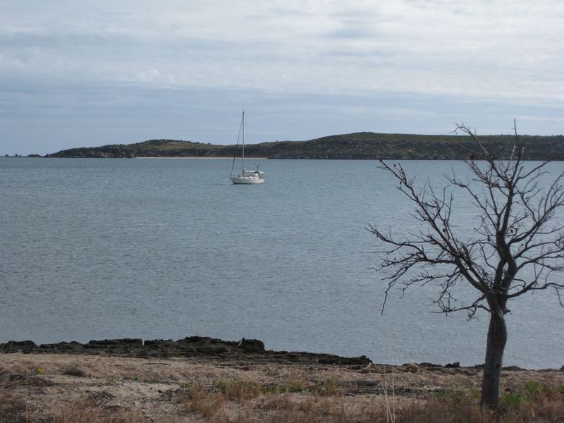 Flinders
