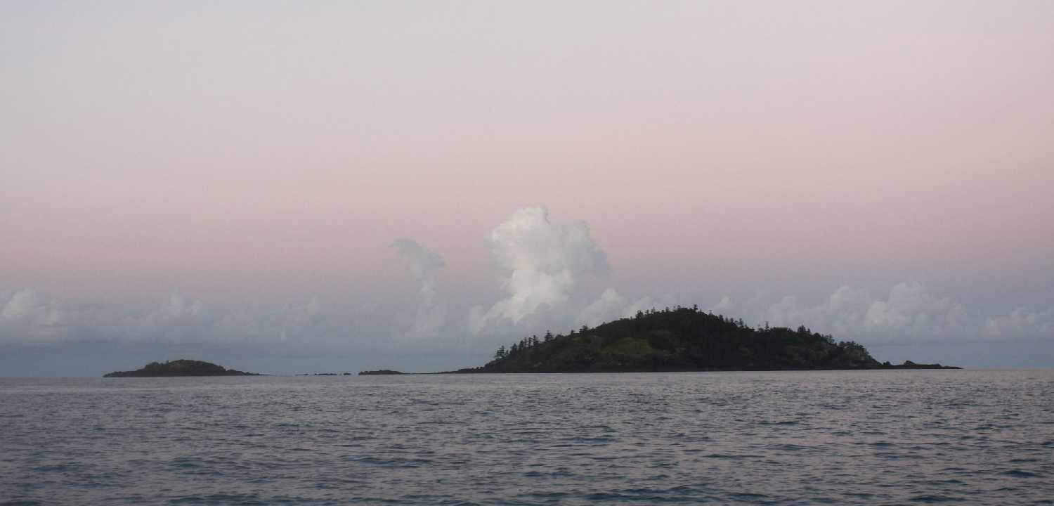 Pine island
