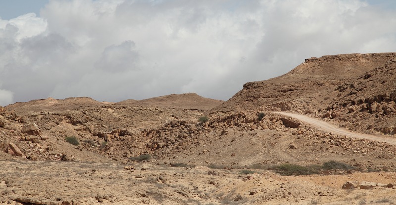 landschap
