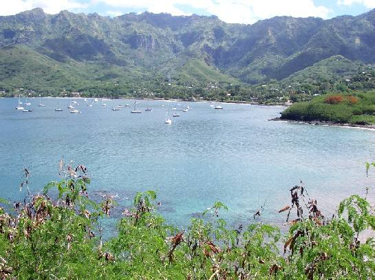baai