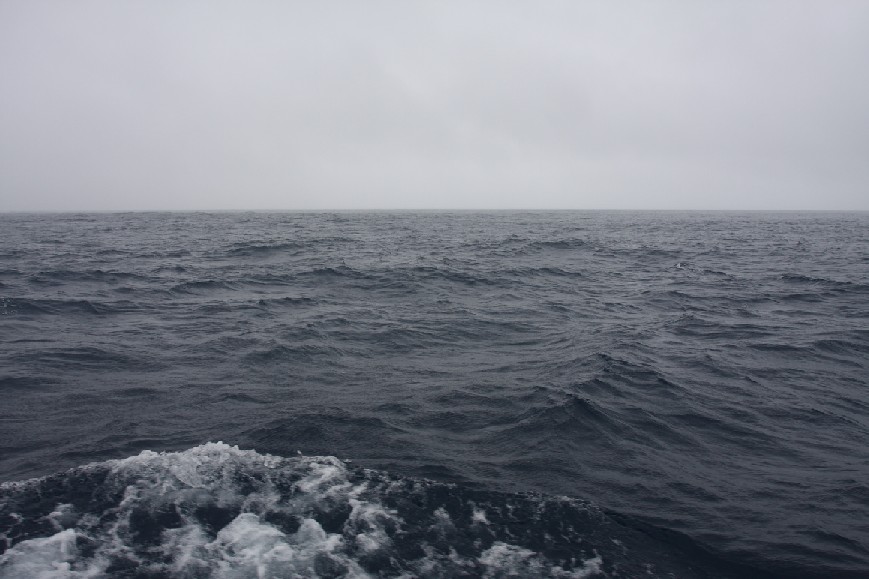 regen