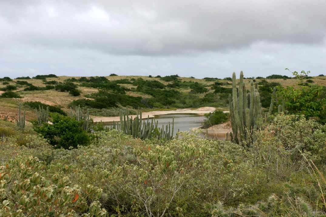 Landschap op Blanquilla