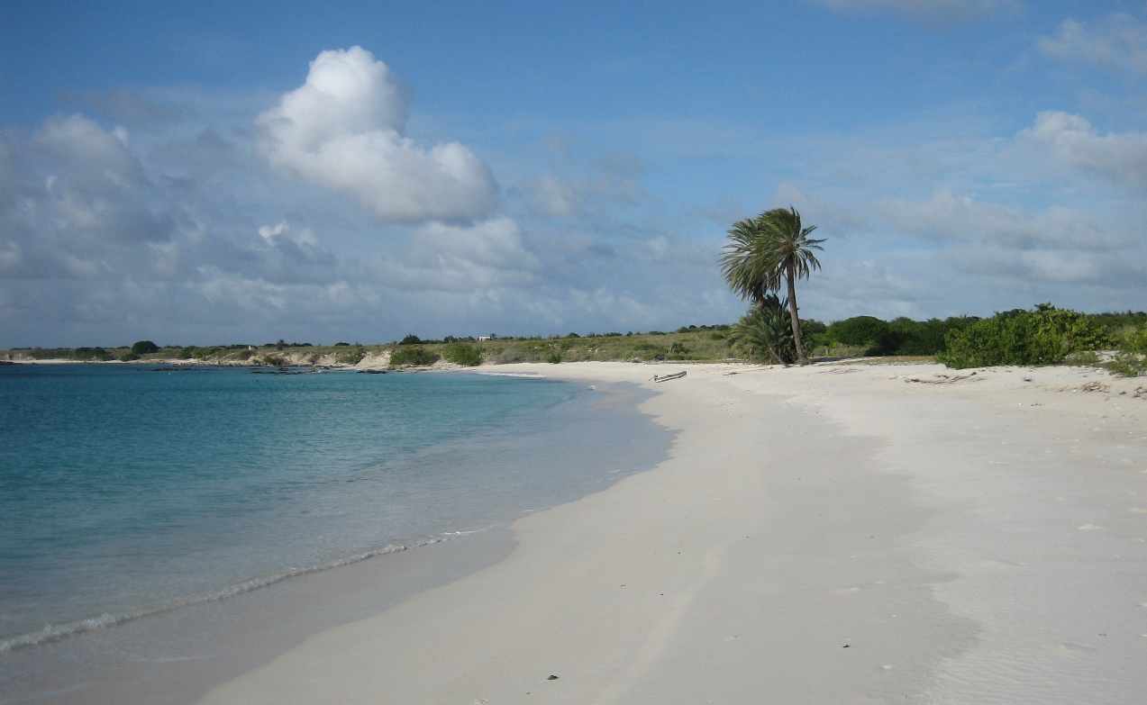 Strand op Blanquilla